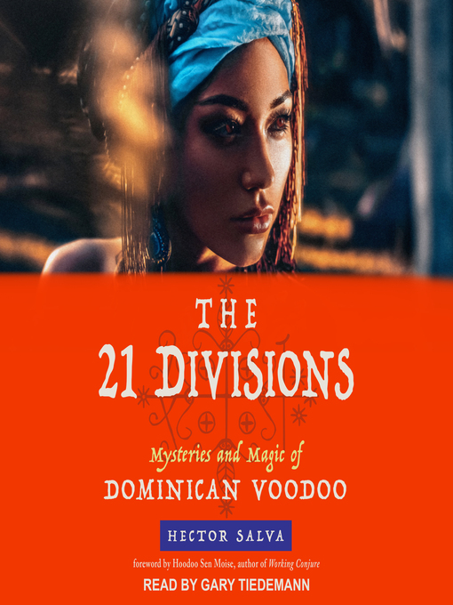 Title details for The 21 Divisions by Hector Salva - Available